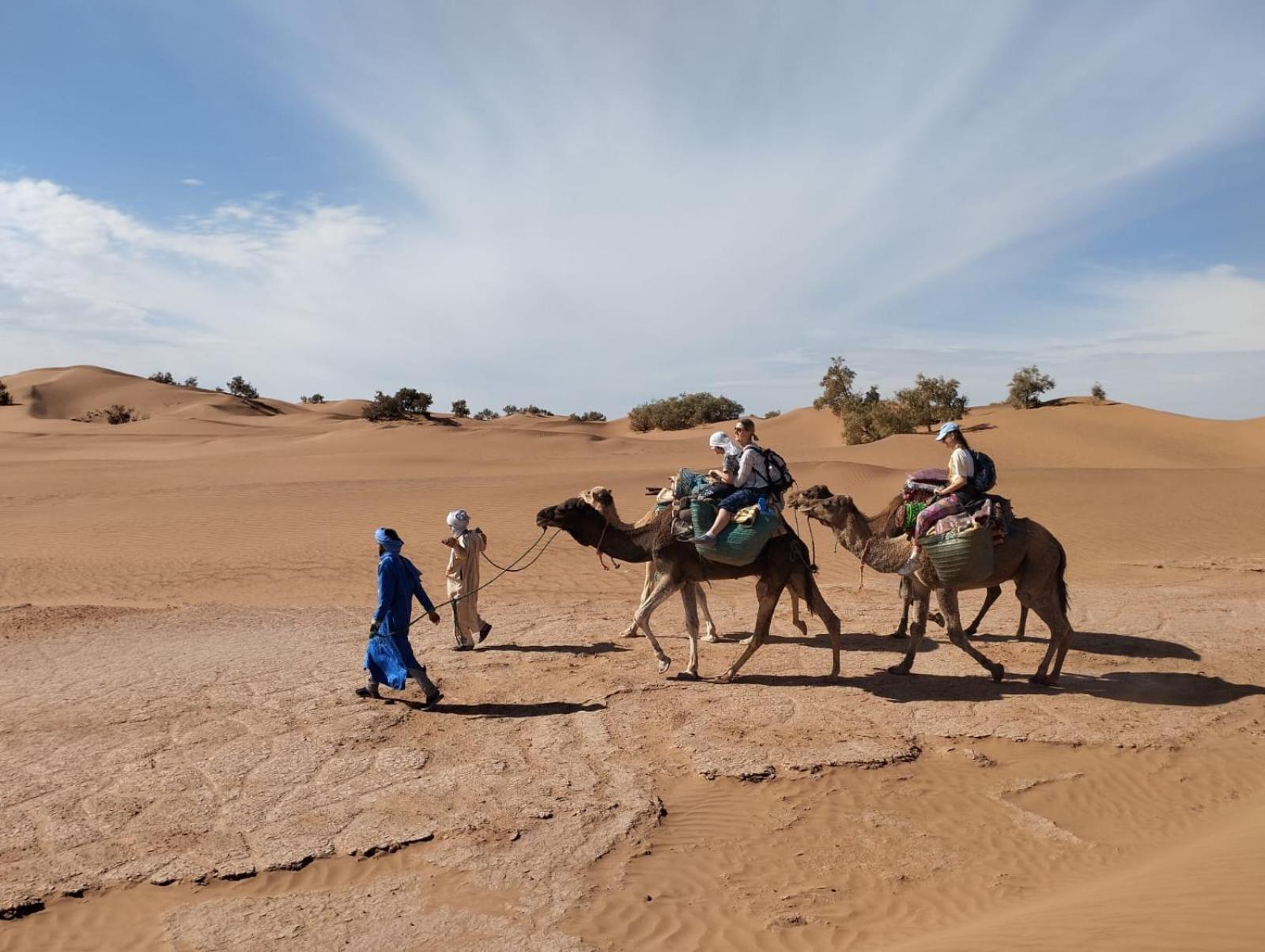 Kasbah Desert Camp M'Hamid Exterior foto